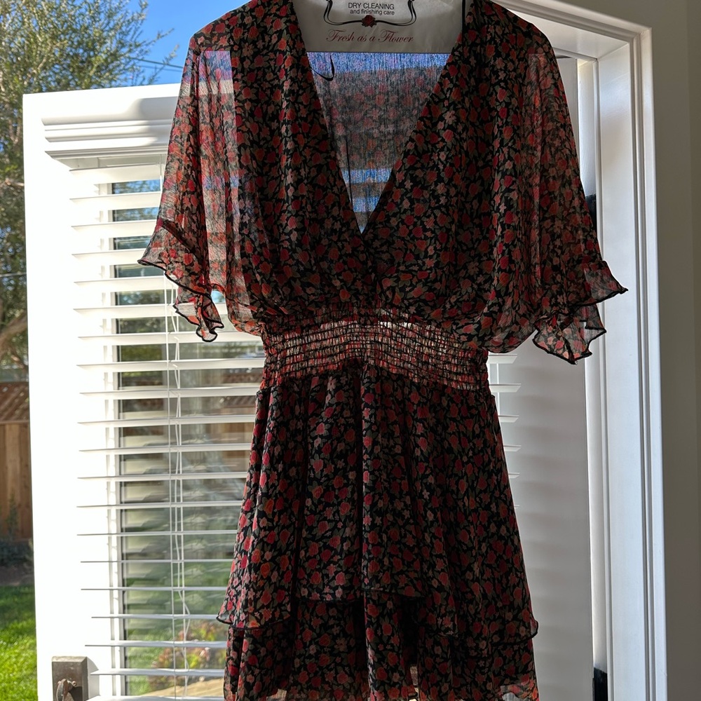 Floral Sheer Dress with Ruffle Sleeves